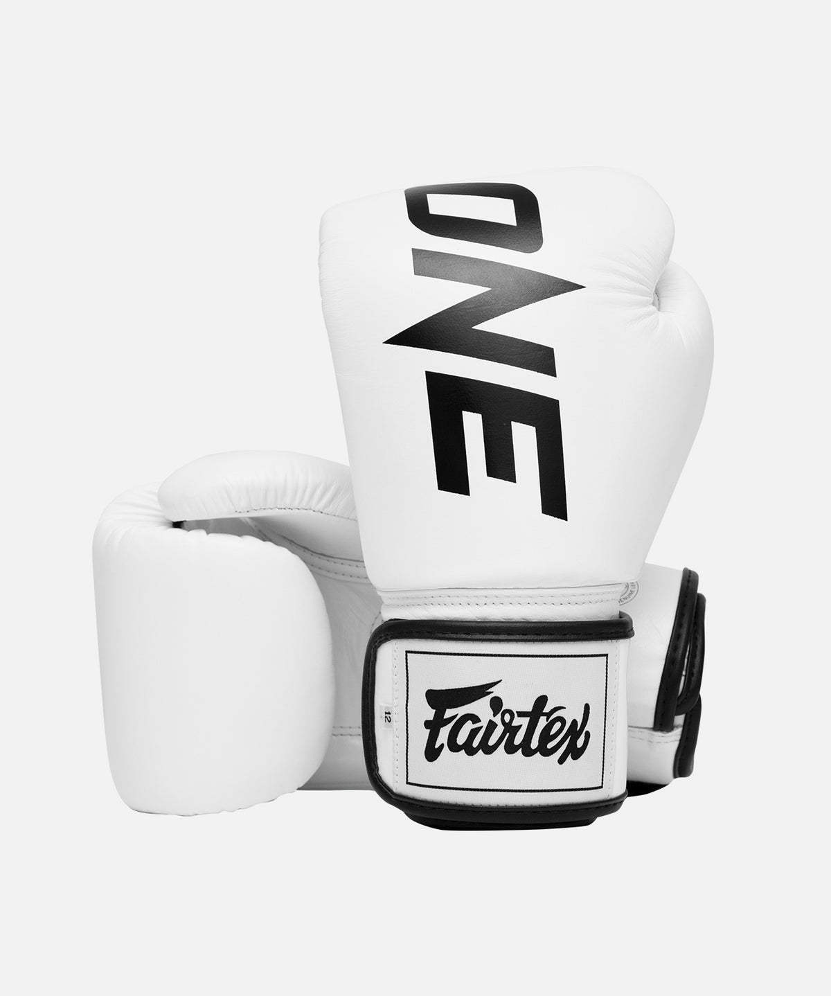 blue boxing gloves everlast