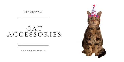 Birthday Girl Cat Hat Gifts for Cat Lovers