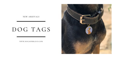 Dog Tags Great gifts for dog lovers 
