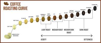 Smart Owl Coffee, low acid coffee, stomache safe coffee, gut health, coffee and GI, coffee and the gut, chlorogenic acid, coffee pH, pH, coffee, organic coffee, coffee alternative, mushroom coffee, vitamin coffee, supplement coffee, theanine, l-theanine, theanine and caffeine, healthy coffee, healthier coffee