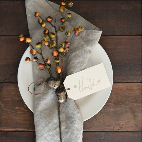 cloth napkins thanksgiving dinner table sustainable design