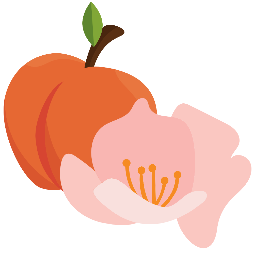 PEACH & PEONY FASHION