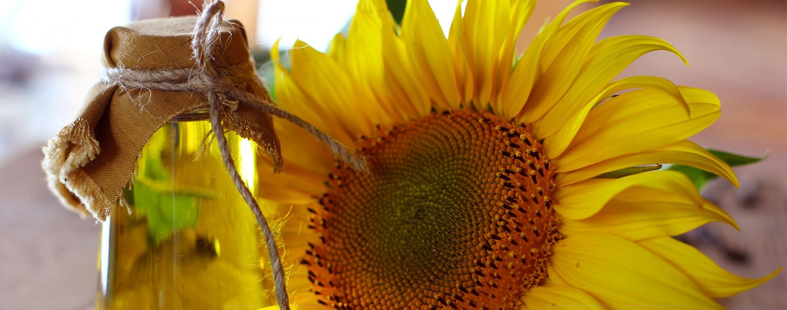 Huile de Tournesol