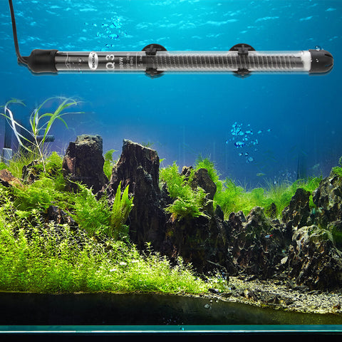 A fish tank with submersible heater placed nearly at the bottom | Splashy Fish