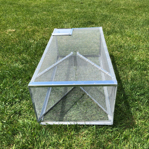 Cloverleaf Minnow Trap  Bjornsen Pond Management