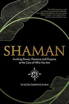Book: Shaman: Invoking Power, Presence and Purpose at the Core of Who You Are