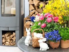 Real plants and flowers can make great Easter decorations that are more eco friendly