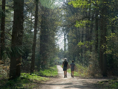 Enjoy nature together on a walk, hike, or picnic