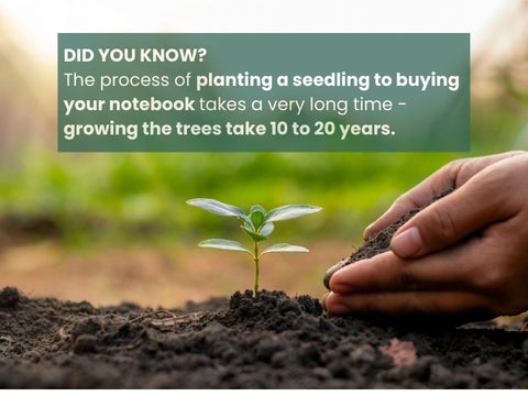 Planting a seed to buying your notebook takes up to 20 years.