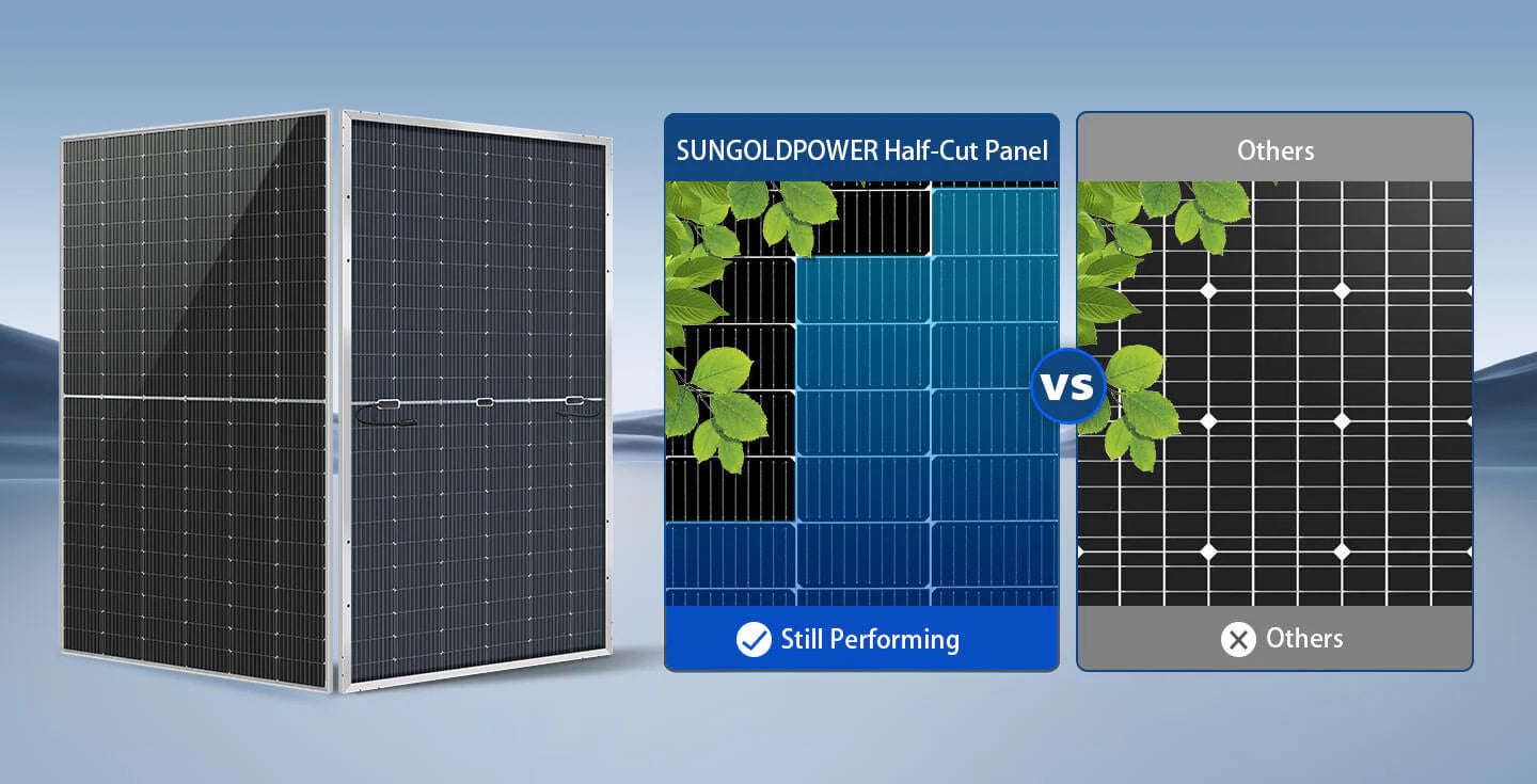 A_05.webp__PID:178c5886-a4e9-4688-896a-d77372640dc2