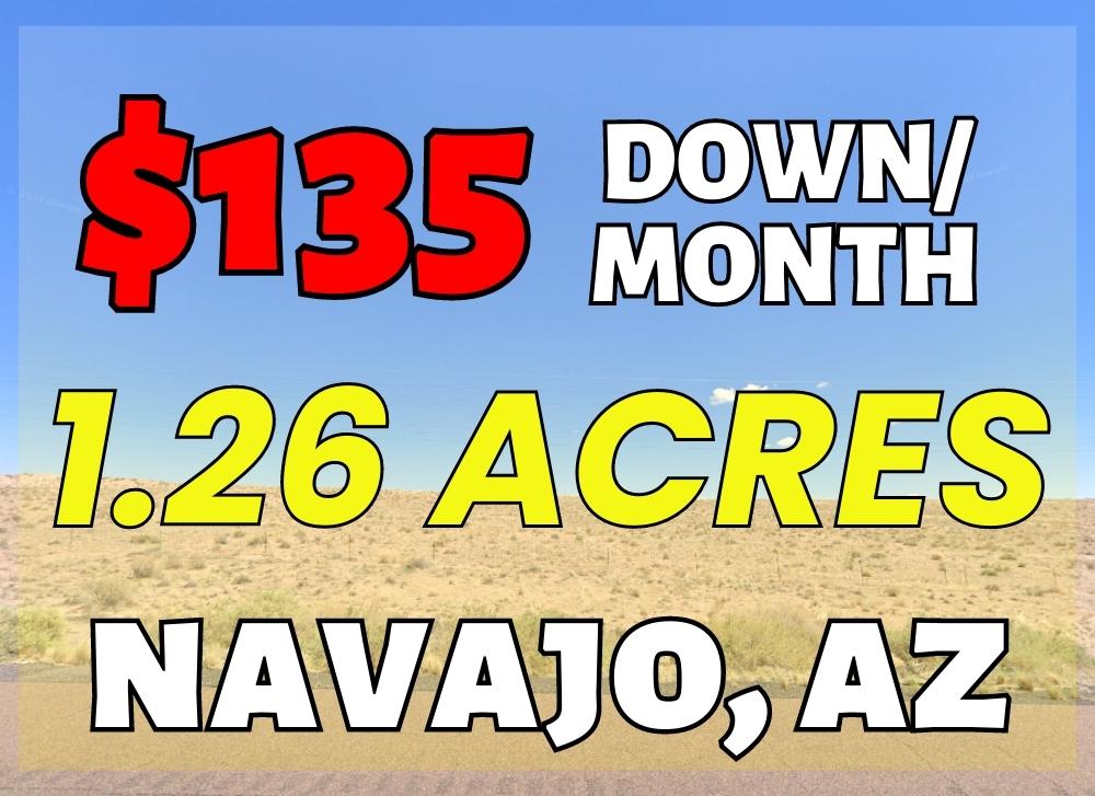 1.26 Acres in Navajo County, AZ Own for $135 Per Month (Parcel Number: 105-62-234) - Once Upon a Brick Inc. Land Investments