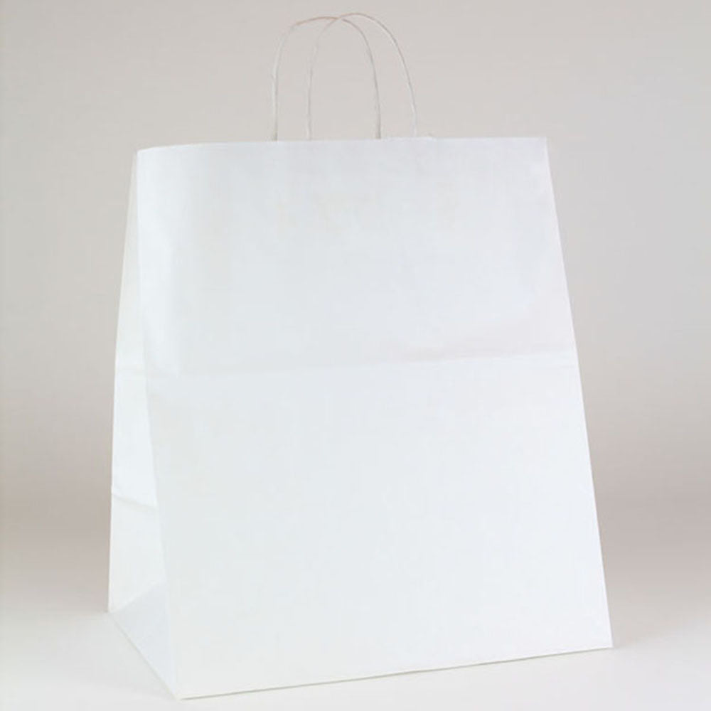 White Craft Bags (Set of 100)
