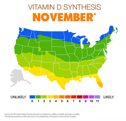 Vitamin D synthesis in November US map