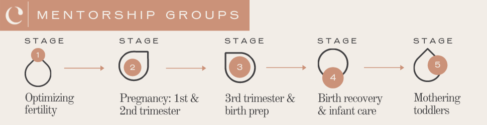 cultivate fertility mentorship groups
