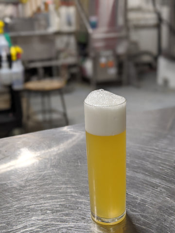 Image of low alcohol pale ale in a Kolsch glass