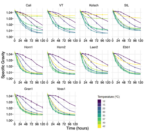 Plot of fermentation curves