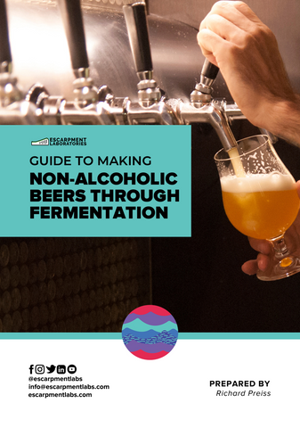 guide to making non alcoholic beers through fermentation