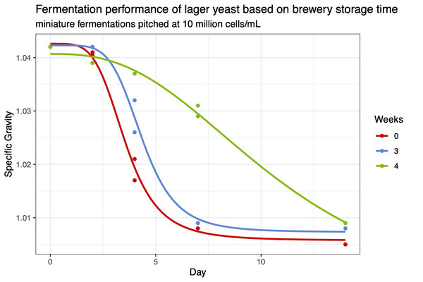 Fermentation curves for lager yeast stored for 0 to 3 weeks between batches of beer.