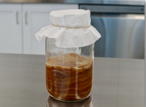 The Road to SCOBY – Escarpment Labs