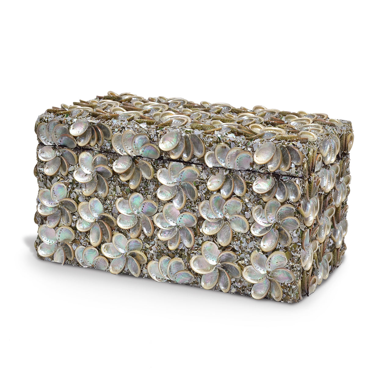 Abalone Shell Rectangular Box