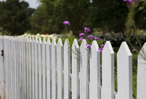 Tips For Cleaning Outdoor Mould