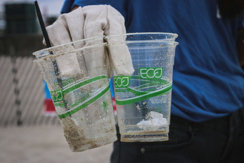 A person holding bio plastic cups that were polluting a beach shore. 