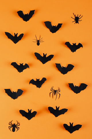 Paper bats and spiders sitting on an orange background 
