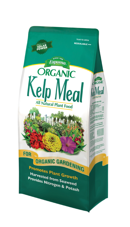 Image of Kelp meal as fertilizer for flowers