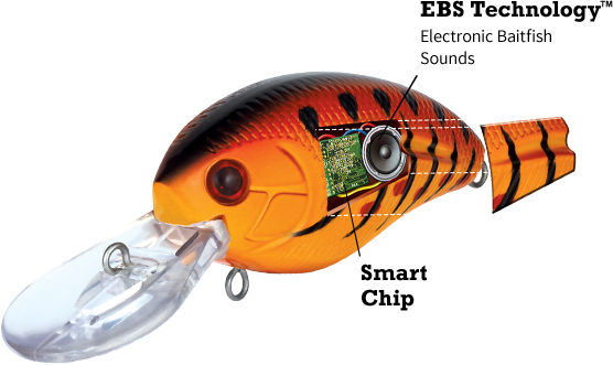 Our Story – Livingston Lures