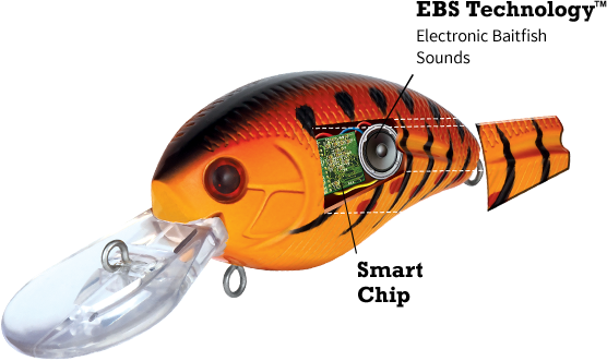 Livingston Lures Unveils Bluetooth Smart Baits - Fishing Tackle Retailer -  The Business Magazine of the Sportfishing Industry