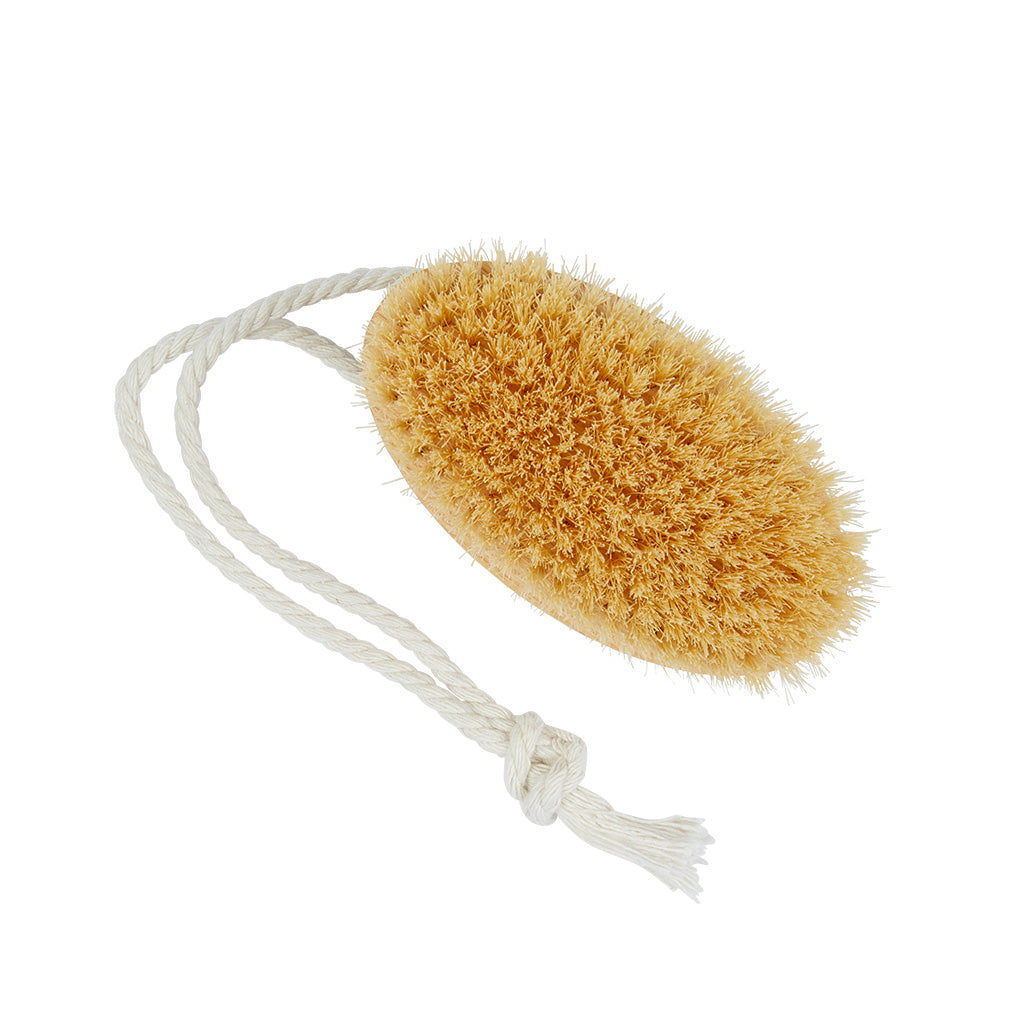 Ash Pure White Bristle Shower Exfoliating Brush - FD11