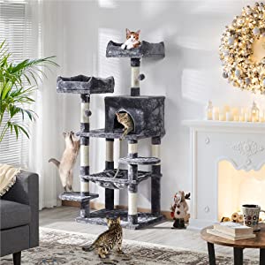 cat tree