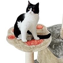 57.5″ Tall Cat Paw-Shaped Play Tower,