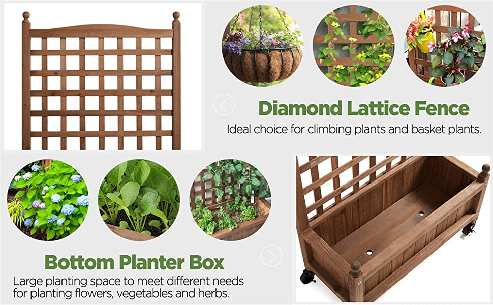 Planter Box with Trellis