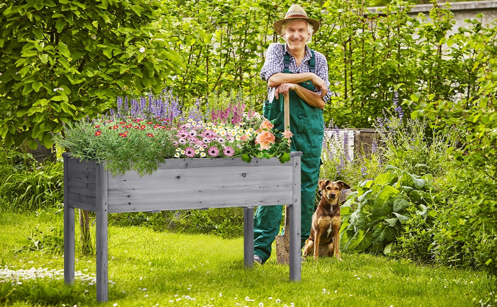 Planter Raised Bed