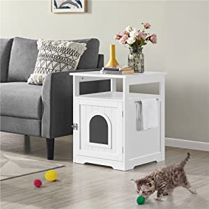 cat litter box