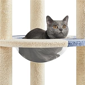 Cat Tree