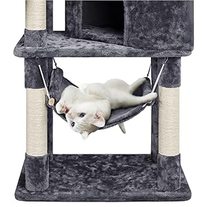 Cat Tree with Condos