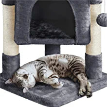 cat tree