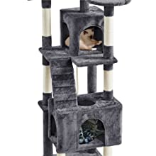 Cat Tree