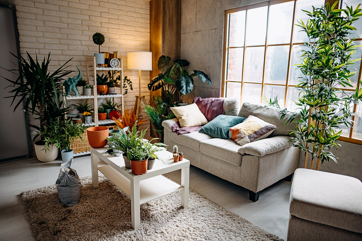 Yaheetech Living Room Plants