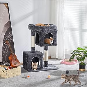 Cat Tree