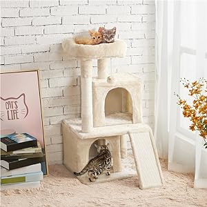 Cat Tree