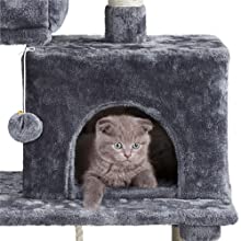 cat tree