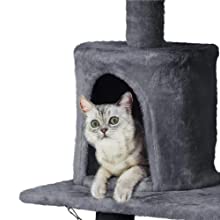 cat tree