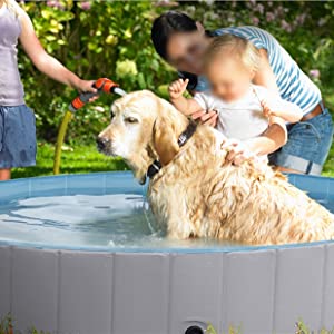 pet pool