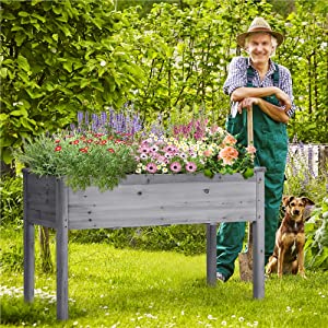 Planter Raised Bed