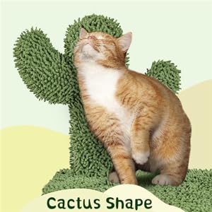 cat cactus tree