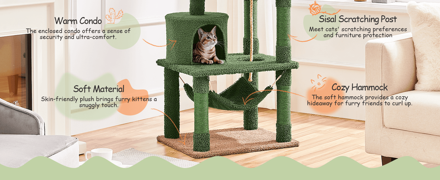 cactus cat condo