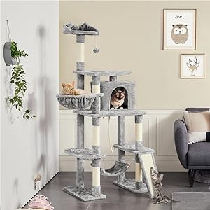 cat tree for big cats